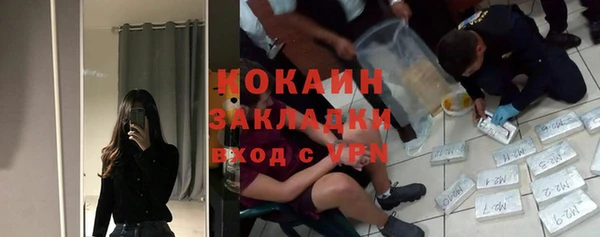 молекула духа Нягань