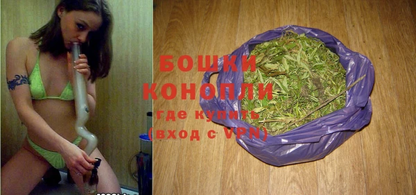 молекула духа Нягань