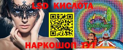 молекула духа Донской