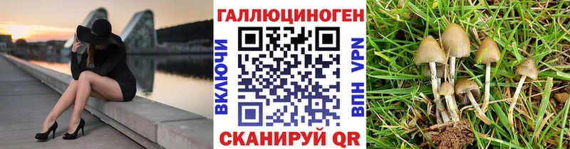 Галлюциногенные грибы GOLDEN TEACHER  Новокубанск 