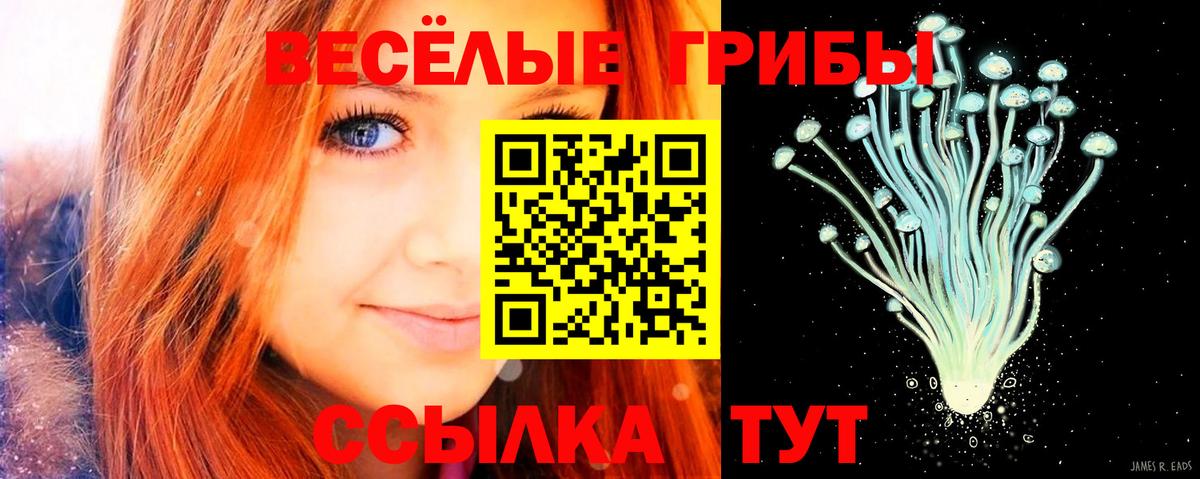 Галлюциногенные грибы ЛСД  Вход с VPN  Новокубанск 