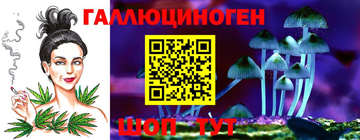 Псилоцибиновые грибы Magic Shrooms Новокубанск